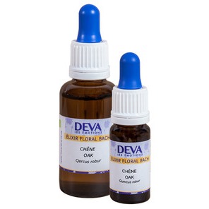 DEVA OAK CHENE